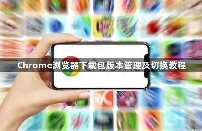 Chrome浏览器下载包版本管理及切换教程1
