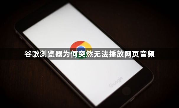 谷歌浏览器为何突然无法播放网页音频1