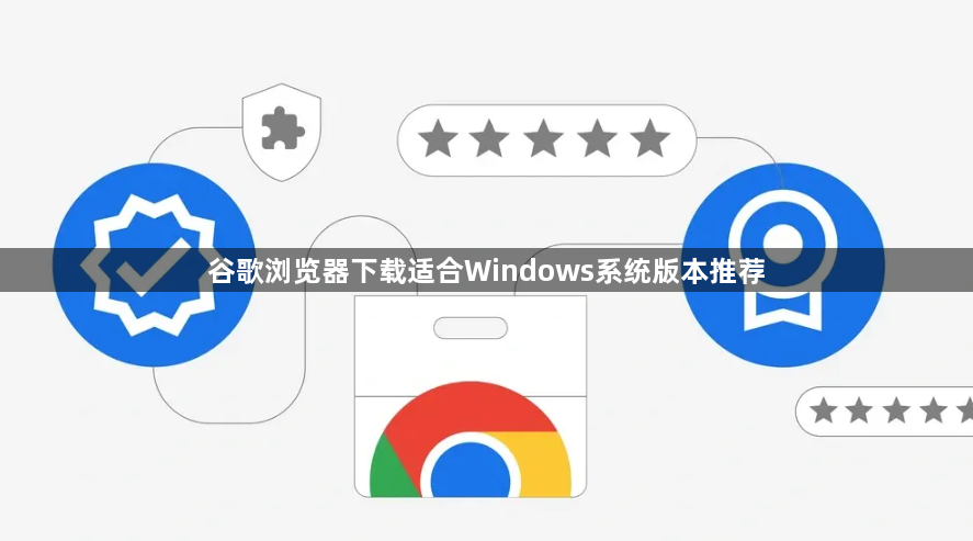 谷歌浏览器下载适合Windows系统版本推荐1