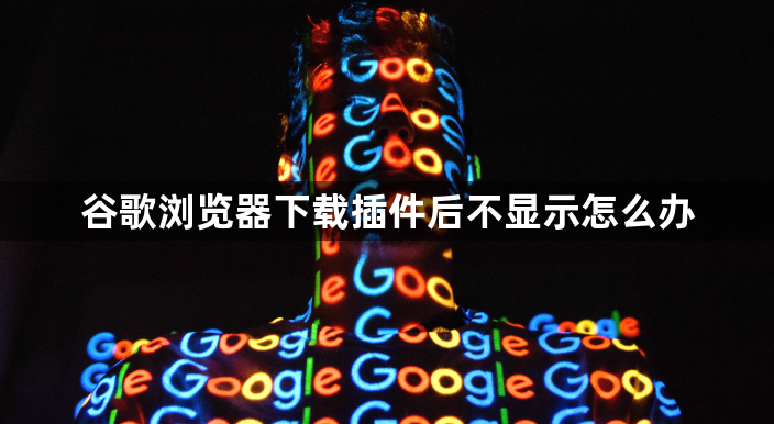 谷歌浏览器下载插件后不显示怎么办1