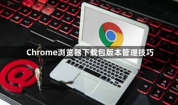 Chrome浏览器下载包版本管理技巧1