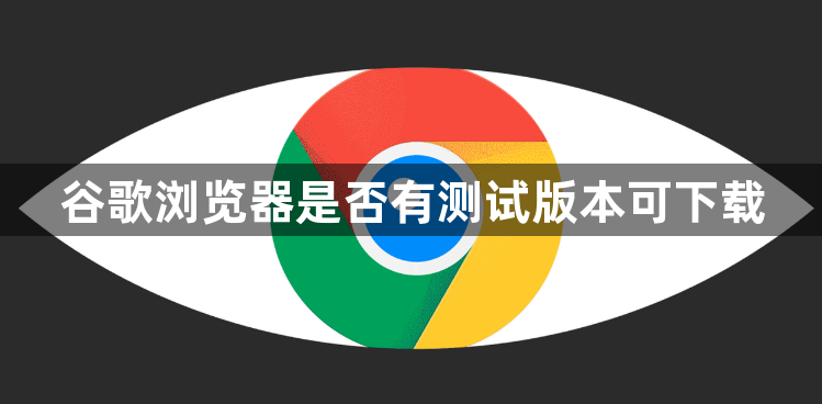 谷歌浏览器是否有测试版本可下载1