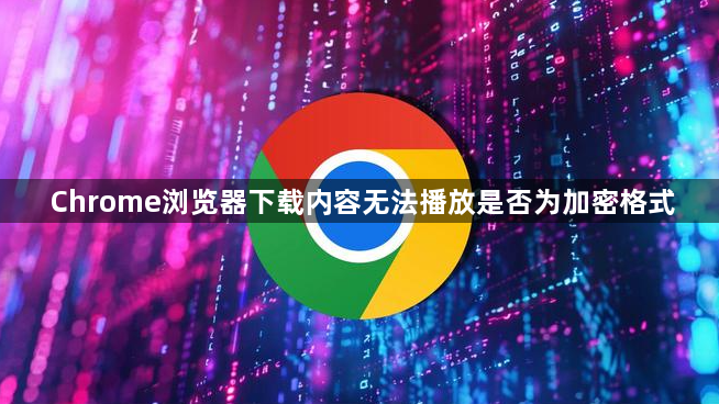 Chrome浏览器下载内容无法播放是否为加密格式1
