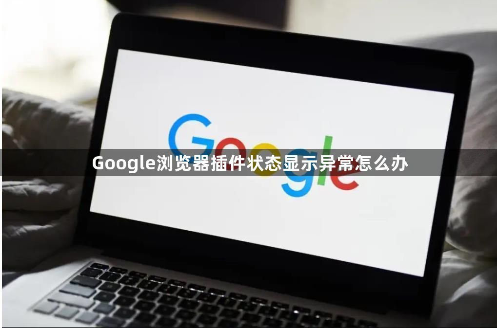 Google浏览器插件状态显示异常怎么办1