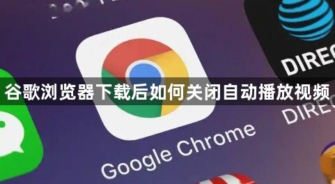 谷歌浏览器下载后如何关闭自动播放视频1