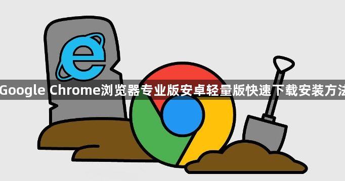 Google Chrome浏览器专业版安卓轻量版快速下载安装方法1