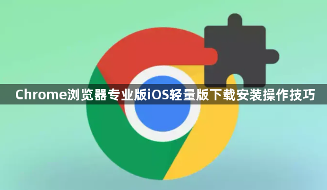 Chrome浏览器专业版iOS轻量版下载安装操作技巧1