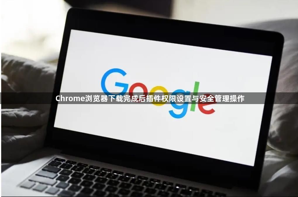 Chrome浏览器下载完成后插件权限设置与安全管理操作1