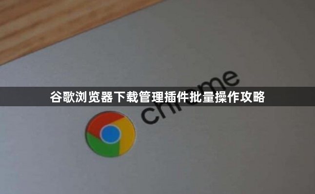 谷歌浏览器下载管理插件批量操作攻略1