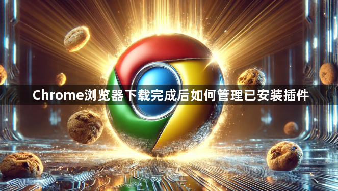 Chrome浏览器下载完成后如何管理已安装插件1