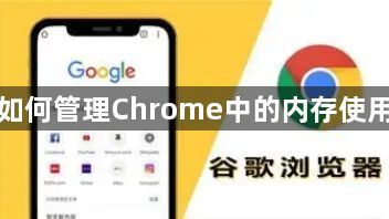 如何管理Chrome中的内存使用1