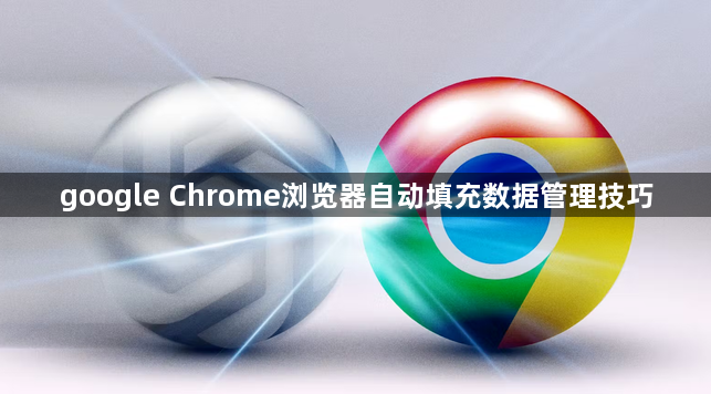 google Chrome浏览器自动填充数据管理技巧1