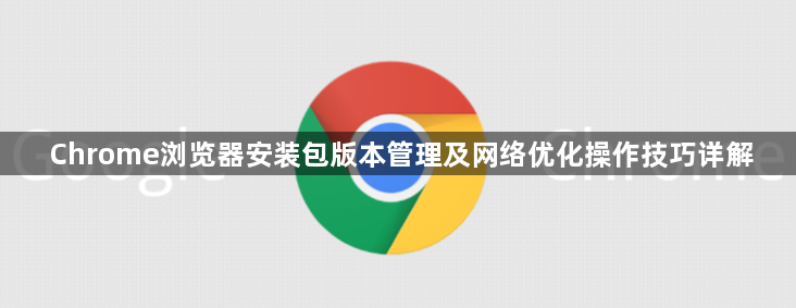 Chrome浏览器安装包版本管理及网络优化操作技巧详解1