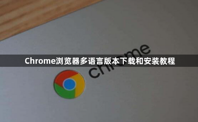 Chrome浏览器多语言版本下载和安装教程1
