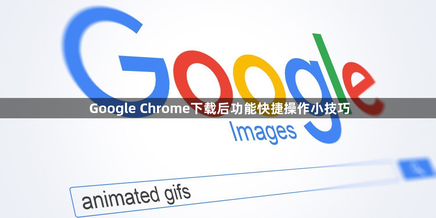 Google Chrome下载后功能快捷操作小技巧1