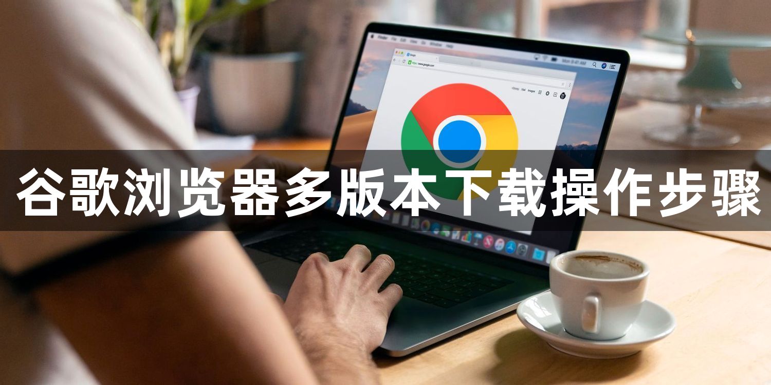 谷歌浏览器多版本下载操作步骤1