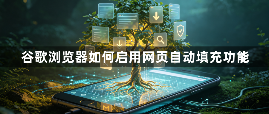 谷歌浏览器如何启用网页自动填充功能1