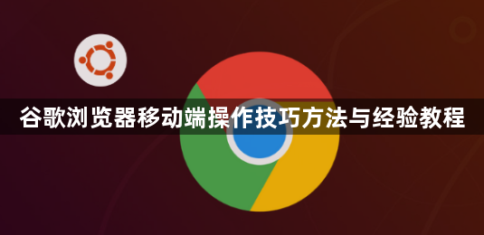 谷歌浏览器移动端操作技巧方法与经验教程1